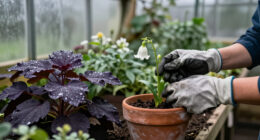 7 Spooky Plants With Dark Histories: From Flowers That Guide The Dead To Deadly Garden Dangers