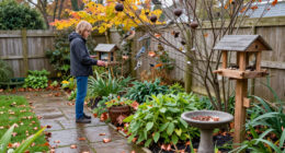 9 Ways To Attract More Birds To Your Yard This Fall—And Help Them Thrive
