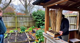 Help Insects And Birds Over Winter—Build A “Bug Snug”