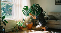 Houseplants Are Getting Bigger, Bolder And Full Of Personality In 2027 – These Are The Trends To Know