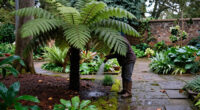 Monty Don's Tree Ferns Are A Clever Way To Transform A Tricky Shady Garden
