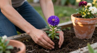 The One Flower To Grow If You Want Your Garden To Look Better After The First Frost