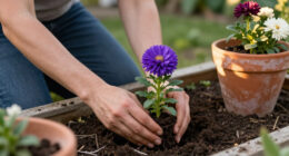 The One Flower To Grow If You Want Your Garden To Look Better After The First Frost