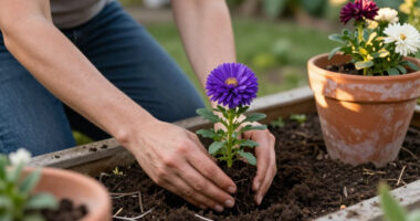 The One Flower To Grow If You Want Your Garden To Look Better After The First Frost