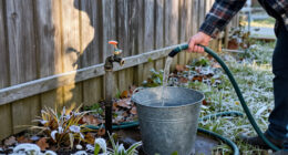 The One Winterizing Job You Should Do After The First Frost – Not Before