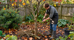 Think Twice Before Pruning Trees In October – Only These 3 Exceptions Can Tolerate A Light Trim