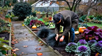 Want A Spooky Garden For Halloween? 7 Dark And Dramatic Plants To Create A Gothic Look At Home