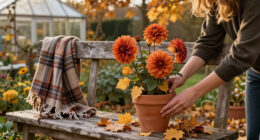 Want The ‘Meg Ryan Fall’ Garden? 7 Ways To Bring The Cosy Magic Of Nora Ephron Movies Outdoors