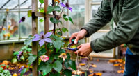 What To Do With Clematis In October – 5 Fast Tasks To Prep This Hard-Working Vine For Winter