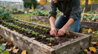Your Garden Beds Need A Living Blanket This Fall – These 5 Cover Crops Fight Weeds And Enrich Soil